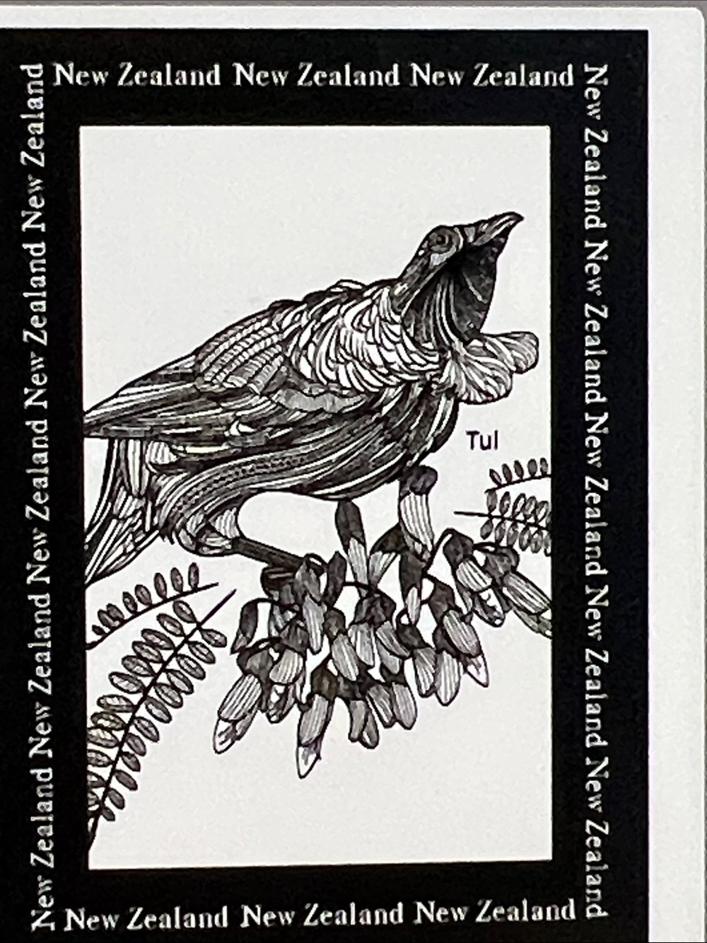 New Zealand Tui native bird Kitchen dish towel NEW black and white